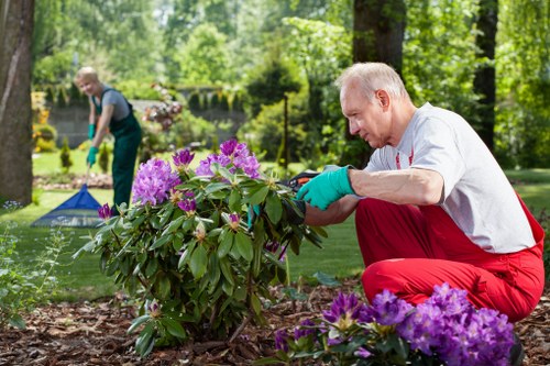 A volunteer pruning shrubs in an Ilford garden, close-up on hands and gardening tools.