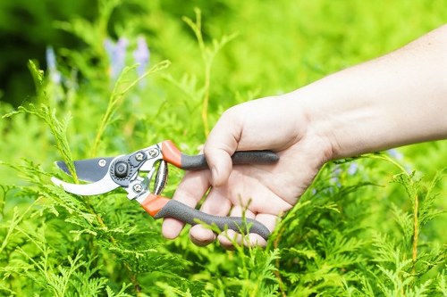Operator conducting a site-specific risk assessment in a residential garden